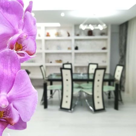 Paradise Apartament Μπρασόβ Εξωτερικό φωτογραφία