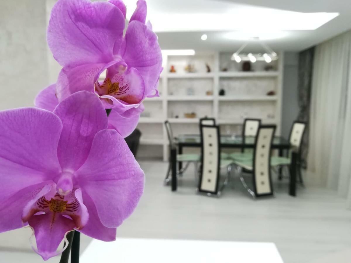 Paradise Apartament Μπρασόβ Εξωτερικό φωτογραφία