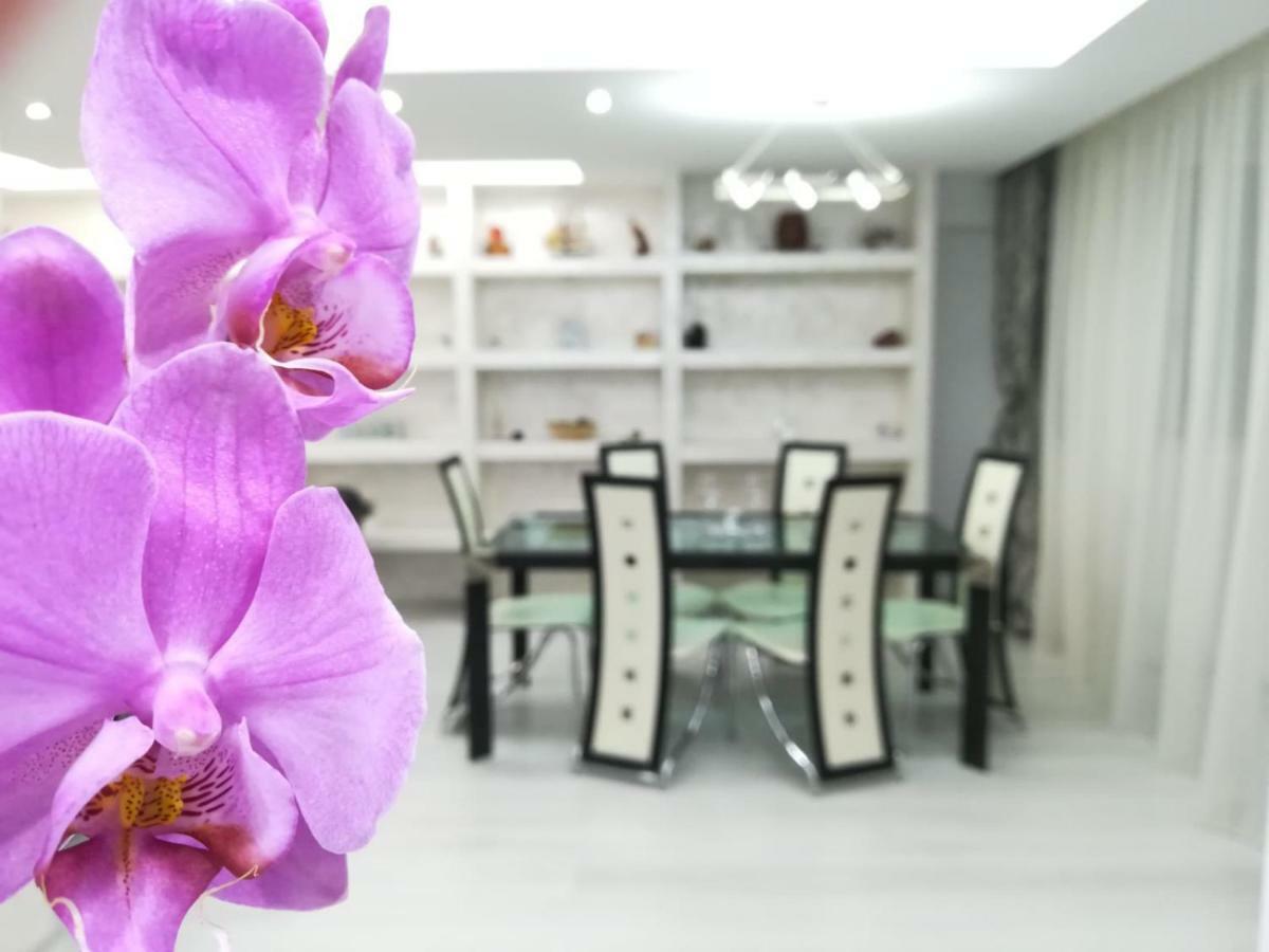 Paradise Apartament Μπρασόβ Εξωτερικό φωτογραφία